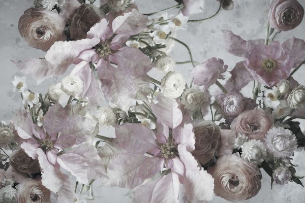 PHOTOWALL / Puancetias (e334425)