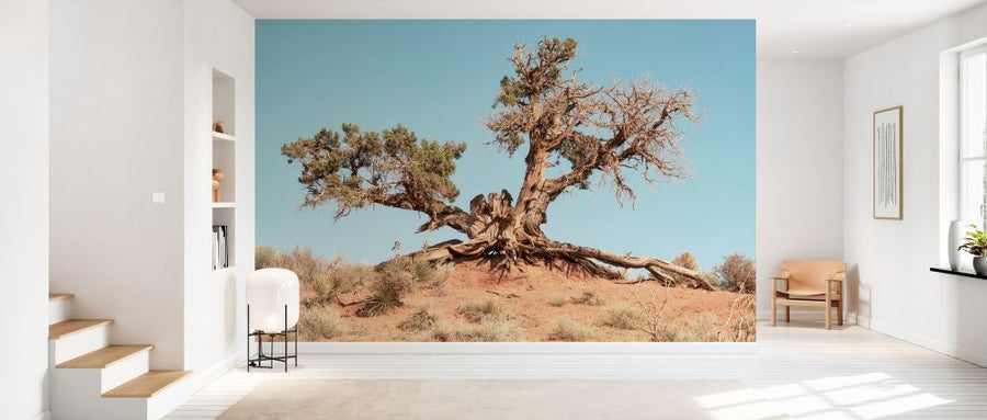 PHOTOWALL / Desert Tree (e334129)