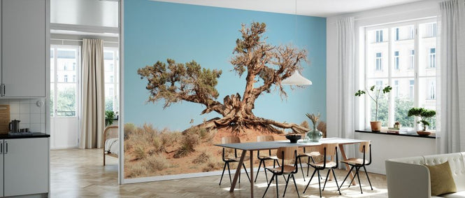 PHOTOWALL / Desert Tree (e334129)