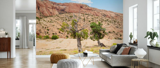 PHOTOWALL / Desert Trees (e334148)