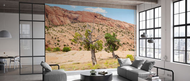 PHOTOWALL / Desert Trees (e334148)