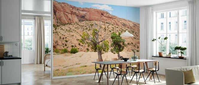 PHOTOWALL / Desert Trees (e334148)