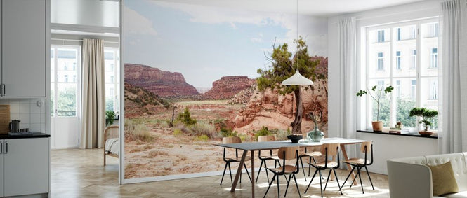 PHOTOWALL / Arizona Canyon (e334156)