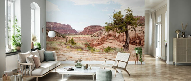 PHOTOWALL / Arizona Canyon (e334156)