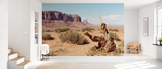 PHOTOWALL / Monument Valley IV (e334173)