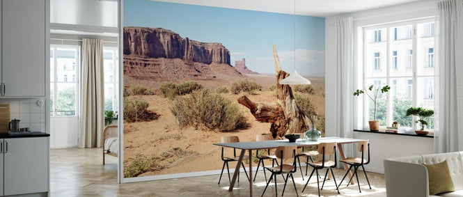 PHOTOWALL / Monument Valley IV (e334173)