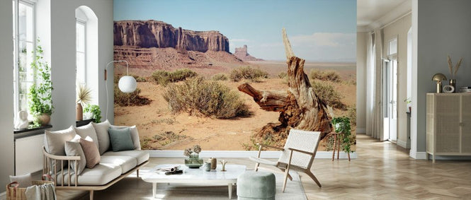 PHOTOWALL / Monument Valley IV (e334173)