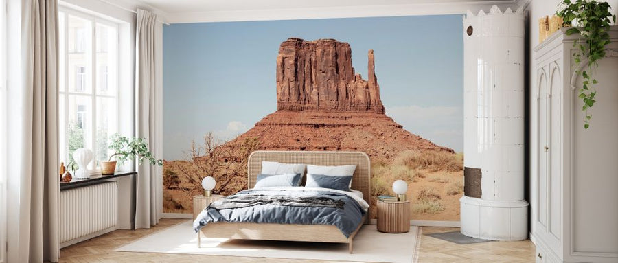 PHOTOWALL / West Butte Monument Valley (e334223)