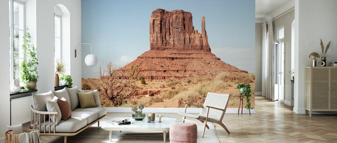 PHOTOWALL / West Butte Monument Valley (e334223)