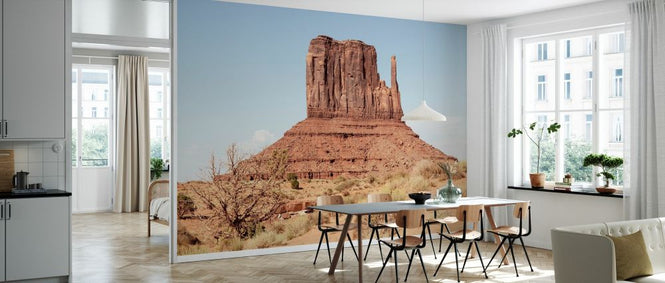 PHOTOWALL / West Butte Monument Valley (e334223)