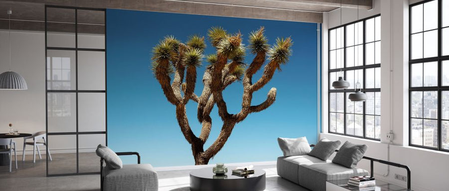 PHOTOWALL / Joshua Tree (e334270)