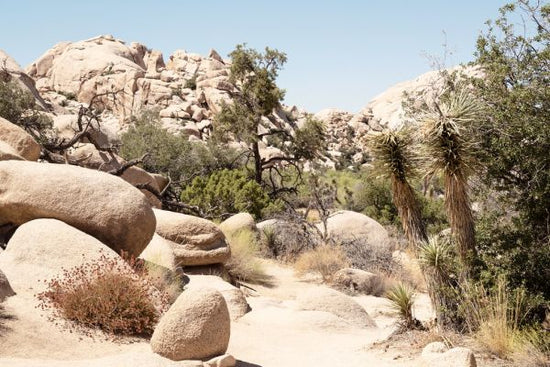 PHOTOWALL / Boulders Desert (e334291)
