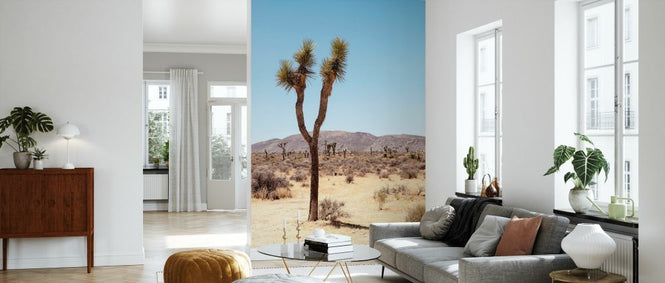 PHOTOWALL / Joshua&#039;s Desert (e334303)