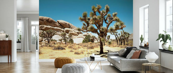 PHOTOWALL / Joshua Tree National Park (e334315)