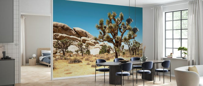 PHOTOWALL / Joshua Tree National Park (e334315)