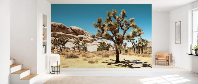 PHOTOWALL / Joshua Tree National Park (e334315)