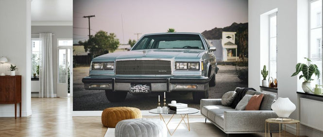 PHOTOWALL / US Buick (e334365)