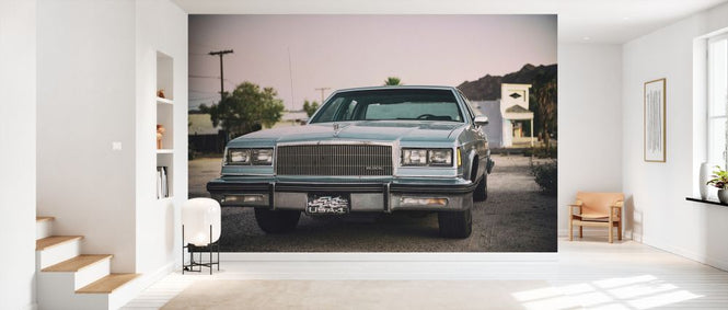 PHOTOWALL / US Buick (e334365)