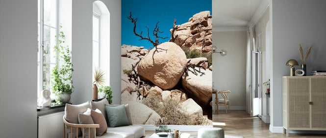 PHOTOWALL / Boulders Nature (e334366)