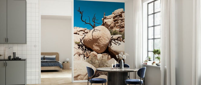 PHOTOWALL / Boulders Nature (e334366)