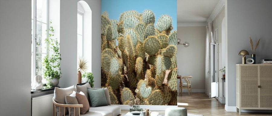 PHOTOWALL / Cacti (e334388)