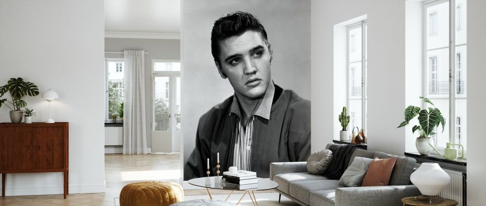絵画『エルヴィス・プレスリー(カラー)』ヘイ平山画 Elvis presley portrait:33点を超えるロイヤリティフリーで