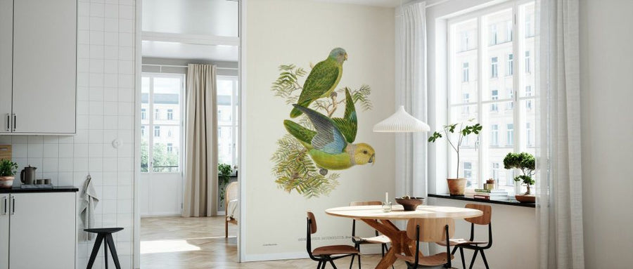 PHOTOWALL / Lime and Cerulean Parrots (e334791)