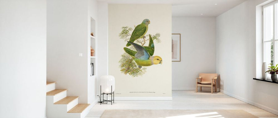 PHOTOWALL / Lime and Cerulean Parrots (e334791)