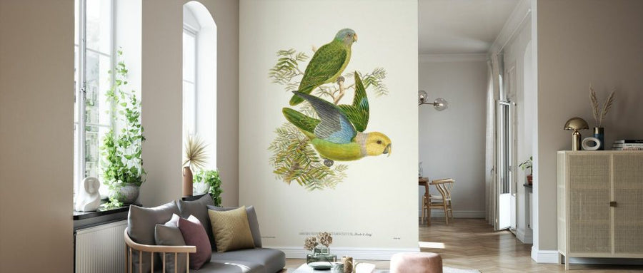 PHOTOWALL / Lime and Cerulean Parrots (e334791)