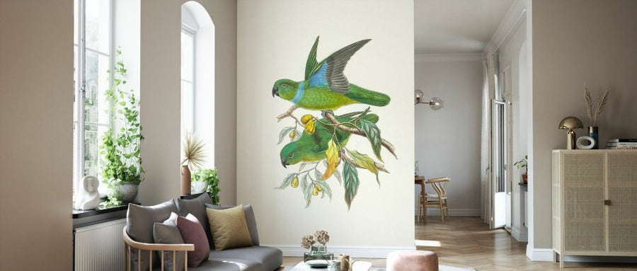 PHOTOWALL / Lime and Cerulean Parrots II (e334792)