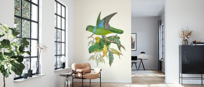 PHOTOWALL / Lime and Cerulean Parrots II (e334792)