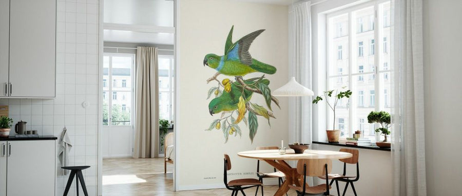 PHOTOWALL / Lime and Cerulean Parrots II (e334792)