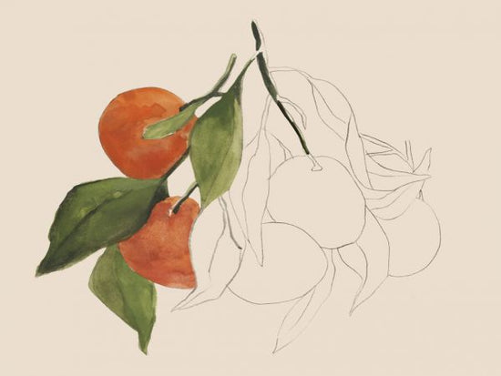 PHOTOWALL / Tangerine Sketch II (e334875)
