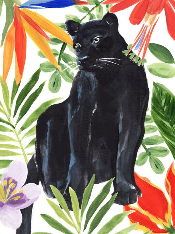 PHOTOWALL / Panther's Paradise (e334961)