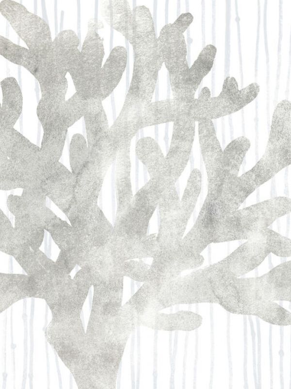 PHOTOWALL / Quiet Coral (e334965)