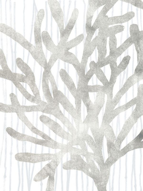 PHOTOWALL / Quiet Coral III (e334967)