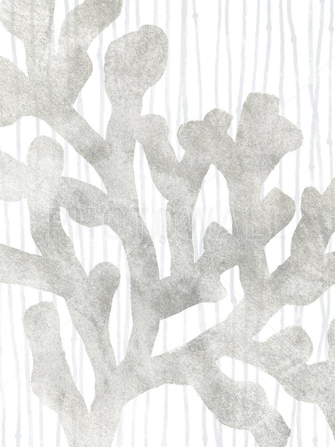 PHOTOWALL / Quiet Coral IV (e334968)