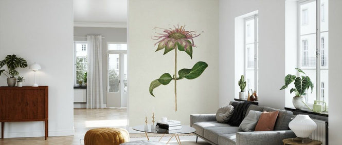PHOTOWALL / Mauve Garden Flowers V (e334975)