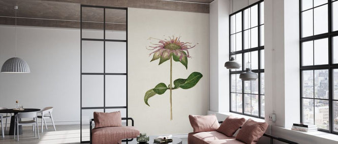 PHOTOWALL / Mauve Garden Flowers V (e334975)
