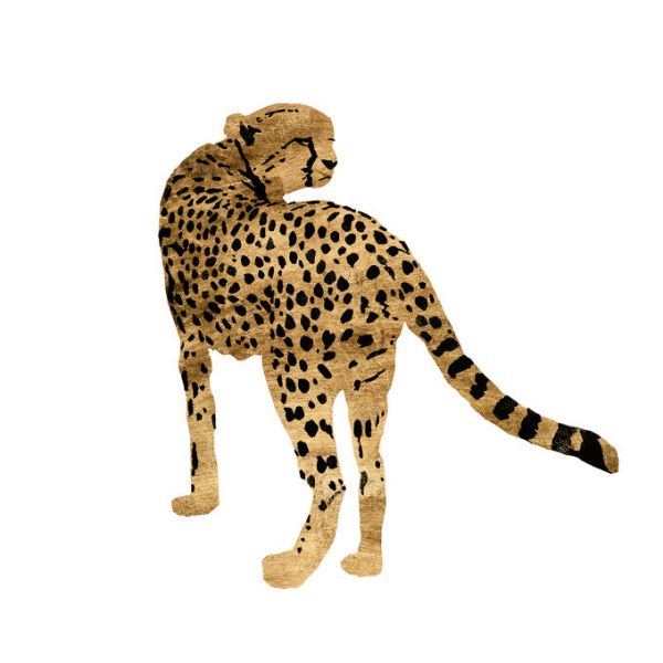 PHOTOWALL / Golden Cheetah II (e334984)