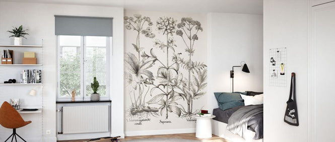 PHOTOWALL / Sepia Besler Botanicals II (e335009)