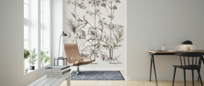 PHOTOWALL / Sepia Besler Botanicals II (e335009)