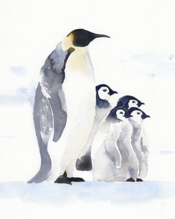 PHOTOWALL / Emperor Penguins (e335027)
