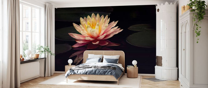 PHOTOWALL / Photography Study Water Lily (e335064)