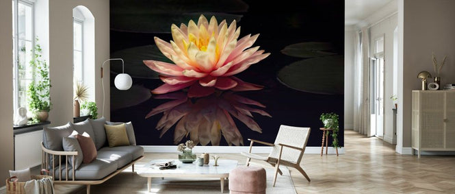 PHOTOWALL / Photography Study Water Lily (e335064)