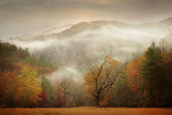 PHOTOWALL / Photography Study Autumn Mist (e335065)