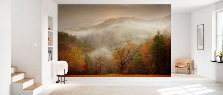 PHOTOWALL / Photography Study Autumn Mist (e335065)