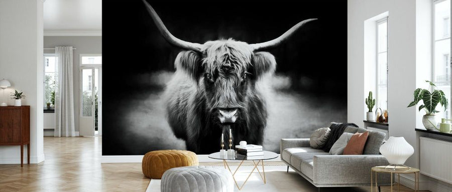 PHOTOWALL / Photography Study Highland Cattle (e335066)