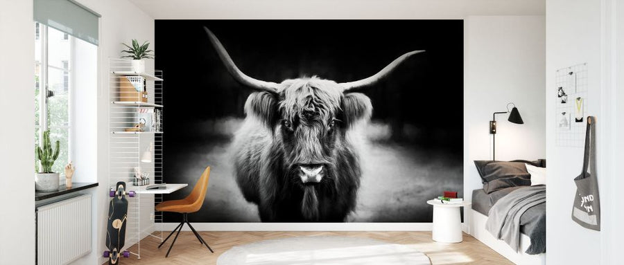 PHOTOWALL / Photography Study Highland Cattle (e335066)