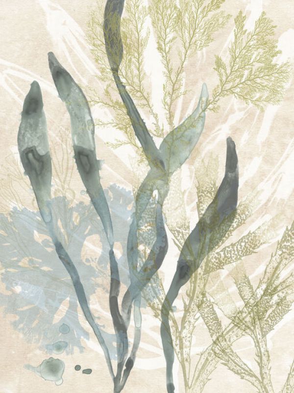 PHOTOWALL / Vintage Ocean Jewels II (e335087)